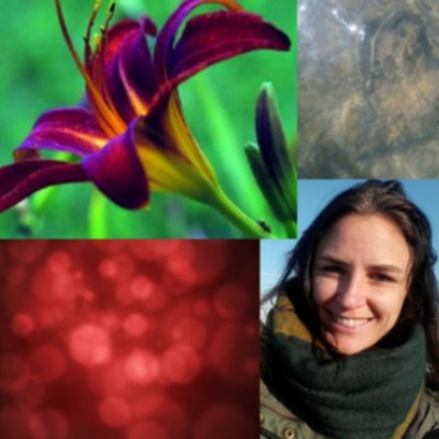 The Female Cycle Biologist&Doula